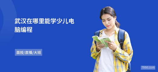 武漢少兒電腦編程與平面圖文制作學習指南